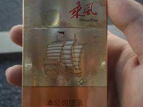 七匹狼(乘风启航)