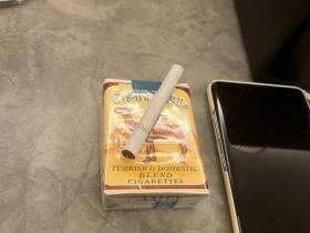 骆驼(美国免税无嘴)