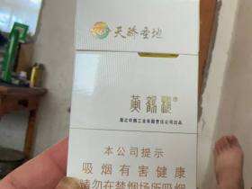 黄鹤楼(硬天骄圣地)