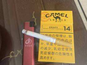 骆驼(CRAFT14mg日版)