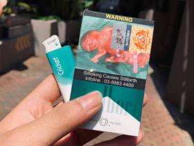 万宝路(Menthol Lights印度尼西亚版)