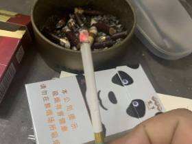 娇子(宽窄国宝)