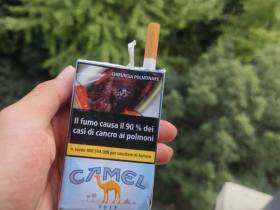 骆驼(硬蓝意大利含税版)