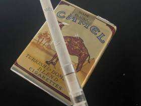 骆驼(美国免税无嘴)