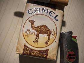 骆驼(软红美税)