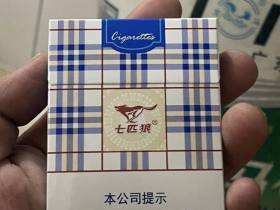 七匹狼(蓝带中支)