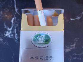 贵烟(硬黄精品)