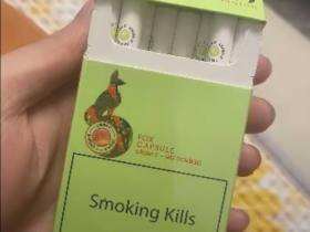 百乐(哈密瓜爆珠)