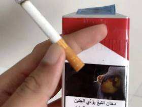 万宝路(软红迪拜完税SF码)