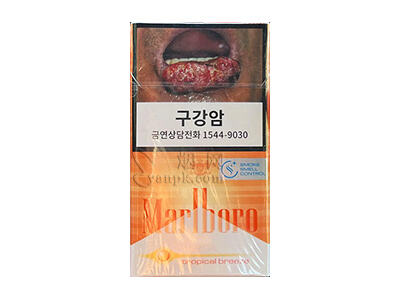 万宝路(热带风味韩版)