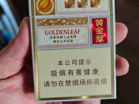 黄金叶(乐途中支)