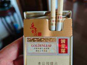 黄金叶(乐途中支)