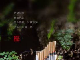 金圣(智圣出山细支)