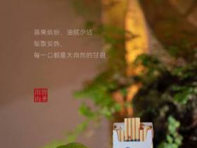 金圣(智圣出山细支)