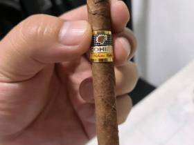 高希霸(奥秘10支装)