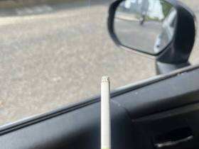 云斯顿(哈密瓜薄荷长杆1mg日版)