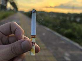 铁塔猫(象之谜韩免版)