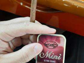 长城(迷你香草)