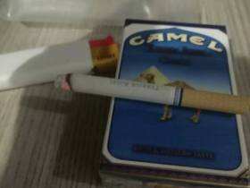 骆驼(皇家科罗拉多含税版)