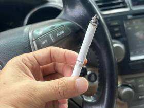 七星(软14mg日税版)