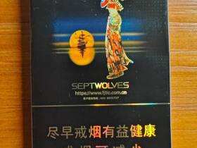 七匹狼(乘风启航)