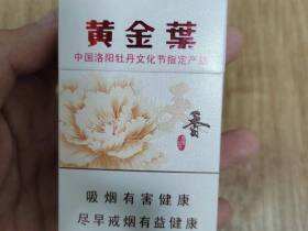 黄金叶(洛阳天香)