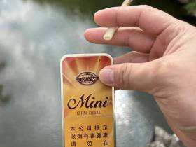 长城(迷你原味)