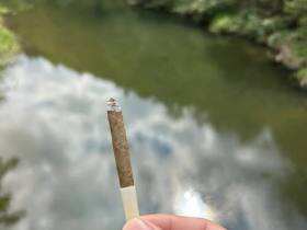 长城(迷你原味)