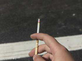 金圣(滕王阁细支)