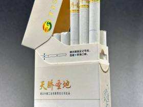 黄鹤楼(硬天骄圣地)