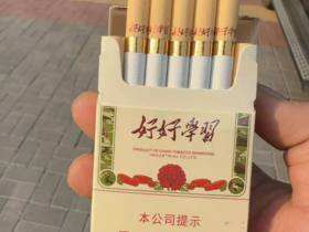 泰山(好好学习)