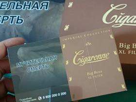 卡比龙(总裁棕色俄罗斯版)