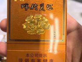 呼伦贝尔(天之韵)