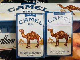 骆驼(硬蓝美免)