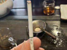 娇子(宽窄国宝)