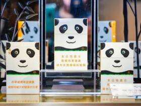 娇子(宽窄国宝)