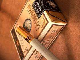 黄鹤楼(软短1916)