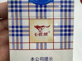 七匹狼(蓝带中支)