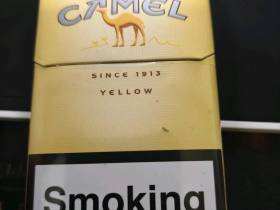 骆驼(硬黄欧盟版)