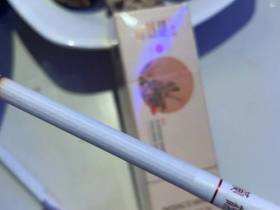 黄鹤楼(春夏秋冬)