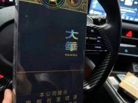 大华(黄金眼中支)