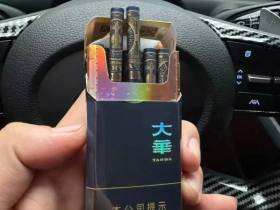 大华(黄金眼中支)