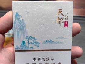 黄山(天都中支)