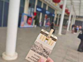 真龙(起源金花茶版)