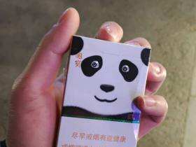 娇子(宽窄国宝)