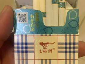 七匹狼(蓝带中支)