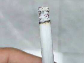 云烟(软大重九)