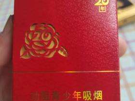 天子(重庆20年)