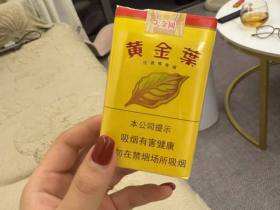 黄金叶(软大金圆)