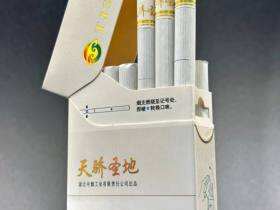 黄鹤楼(硬天骄圣地)